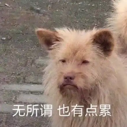  你最心疼哪个历史人物