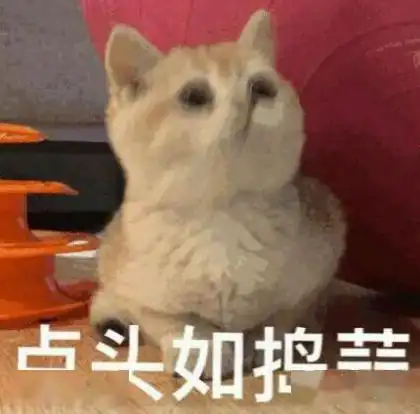  乔欣,你再不去打针真的来不及了