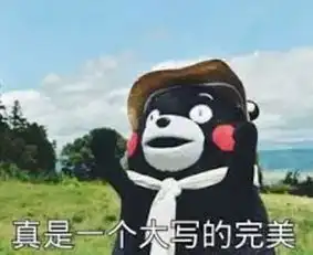 妙啊表情包小胖子跨市