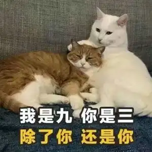  最新撩人的土味情话表情包,2020年最新撩人情话精选图片