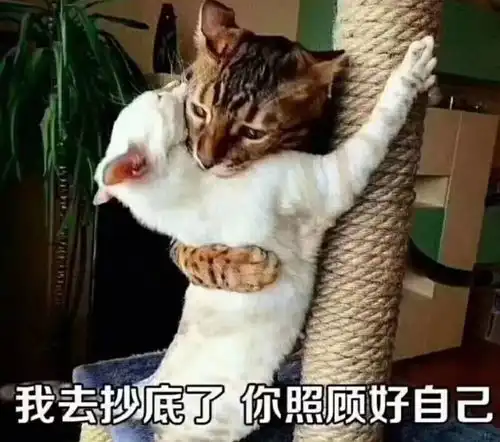  在汇率的海洋中翱翔还是挣扎