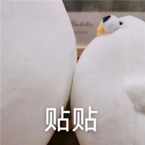  表情包你礼貌吗的沙雕表情