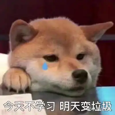 光遇好玩吗表情包存款