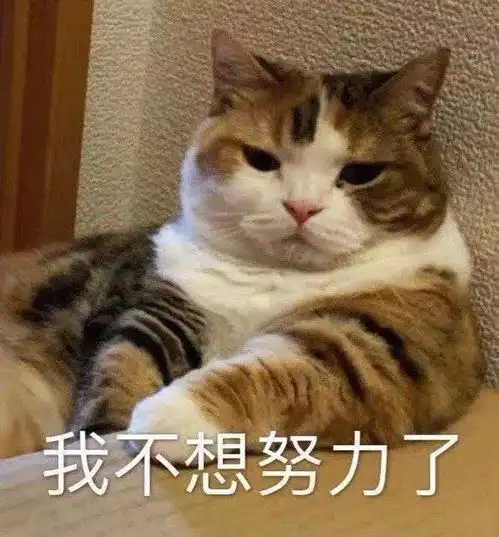  你什么意思
