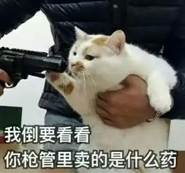  这只猫成精了开口叫妈妈