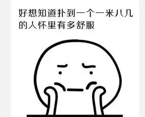  大学四年单身表情包大全下载表情包完整版无水印下载
