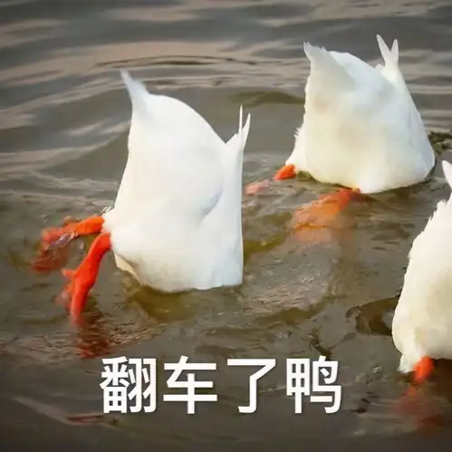  张杰手工自制演唱会门票位置绝佳,粉丝留言寄给我