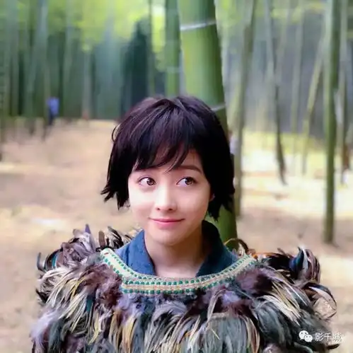  美将翻拍水浒传,日本导演加美国编剧,估计又要凉了