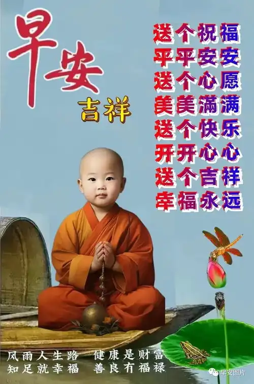  晚上好图片大全,晚上问候,晚上好祝福,晚上好表情包图片,夜夜好梦