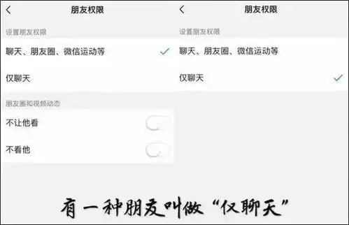  什么微信朋友圈可以评论表情包了,来评论区斗图啊