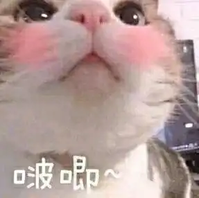  有没有给女朋友亲亲的表情包