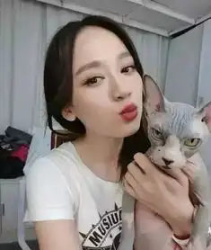 狗和猫的表情包陈乔恩