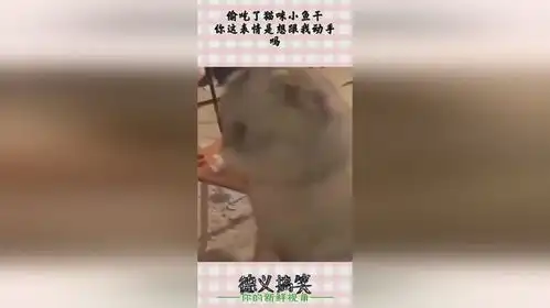  偷吃了猫咪小鱼干,你这表情是想跟我动手吗
