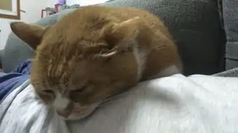  老铁深夜云吃吃不胖