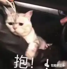  比黄圣依特地买房上节目更暴击的,是她婆婆令人下跪的宠孙方式
