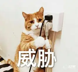  找不到充电线耳机的你,需要这样的收线神器
