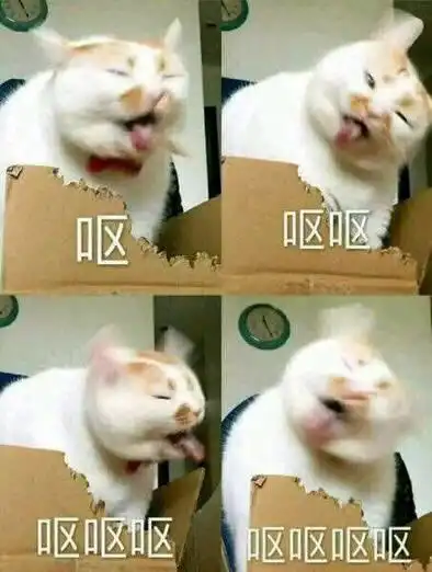哈哈哈哈嗝文字表情包猫