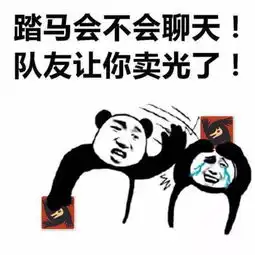 igtheshy表情包猜错