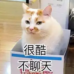  表情包够沙雕,以后你就是我的网友了