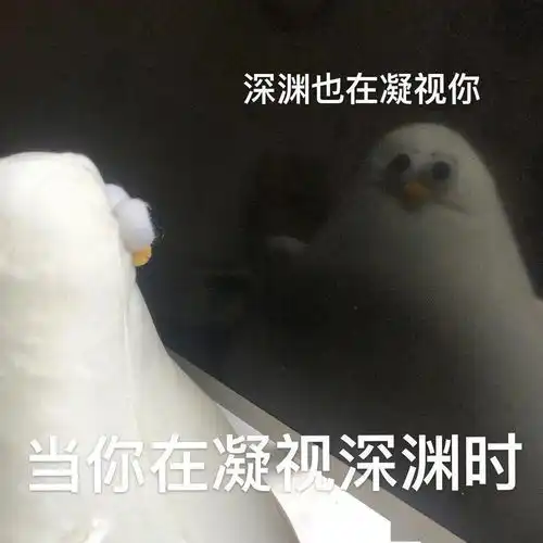  超魔性小海鸥表情包该取图了宝