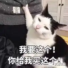  超多猫咪可爱表情包吸猫患者福音来斗图啊,信不信我萌死你