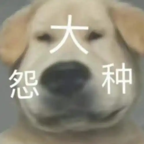 分一点运气给你表情包腹