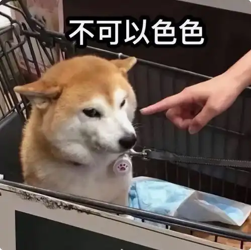  qq大规模被盗号,原因众说纷纭,但有一个相同点