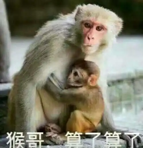  田亮吴尊周杰伦你们是不是都忘了自己还有个儿子