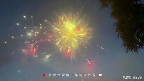  烟花岁岁常欢愉年年皆胜意假期结束回去搬砖