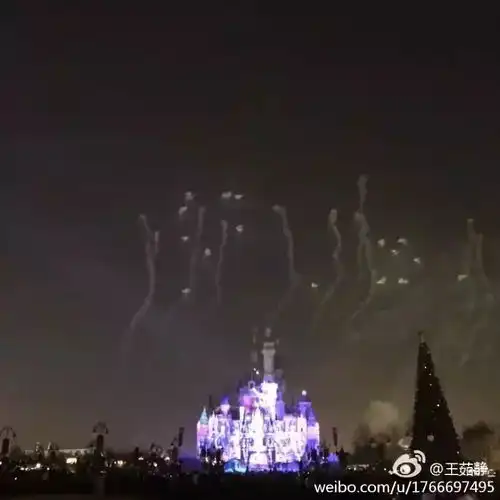  笑喷上海迪士尼着火现场照片,原来是哈哈哈哈