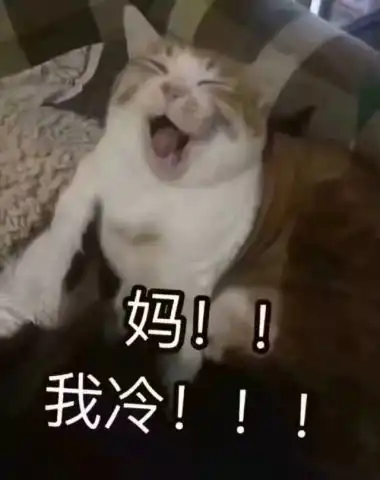  带着你的小青蛙,一起看一看这份假期必读之绝佳秘籍吧