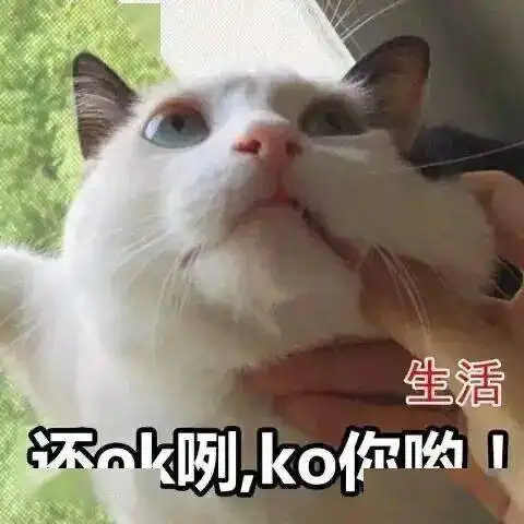表情包抖音最火