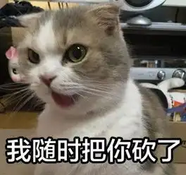  猫和狗谁更聪明最新研究发现让所有人傻眼