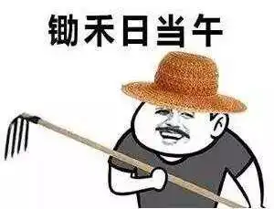  上海小伙放弃高薪工作,就想回家种田还做出这个惊人举动