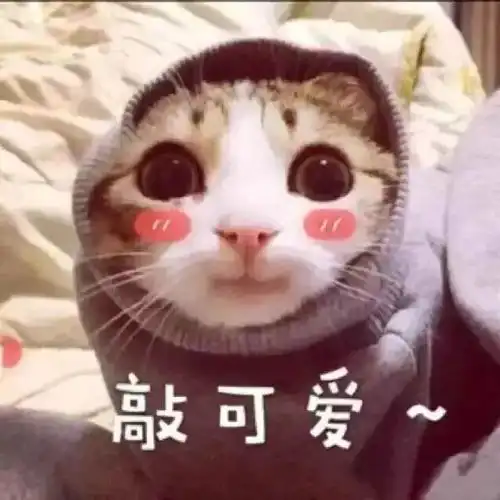委屈表情包可爱卡通握紧