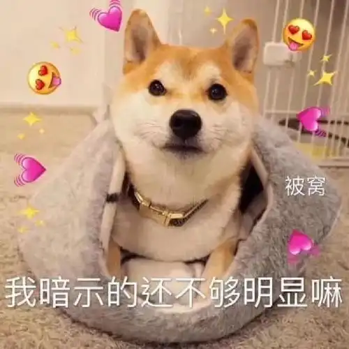 睡不着系列表情包几点