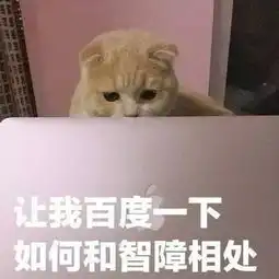小傻瓜表情包猫咪