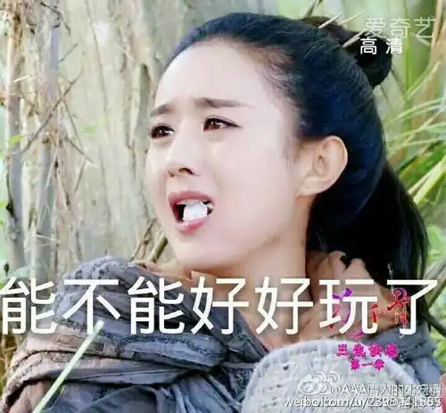  带字的赵丽颖表情包
