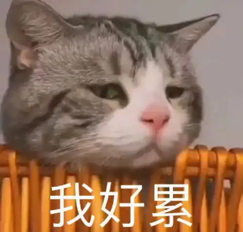  qq斗图表情包