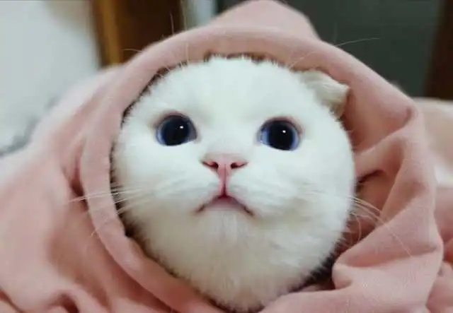  地道短语assnugasabuginarug