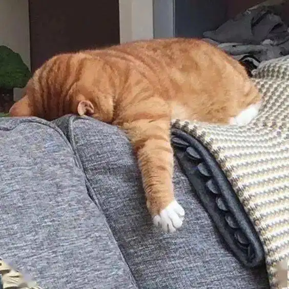  上班开学焦虑症