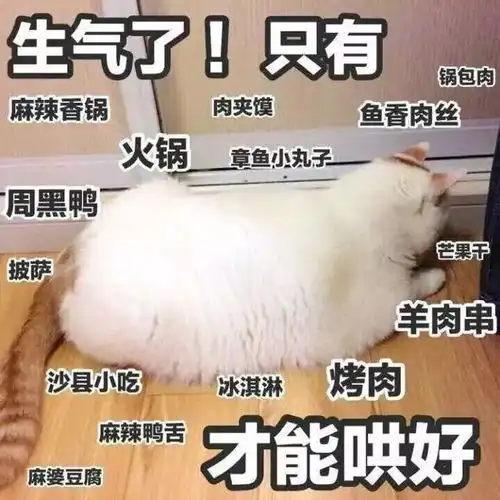  高中生那些被名字拖后腿的高校你一定擦亮眼睛记住它们