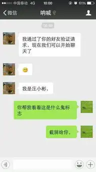  我的苹果5s手机,微信跟每个人聊天名字后面多有个符号是什么意思