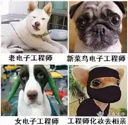 搬砖搞笑表情包表情