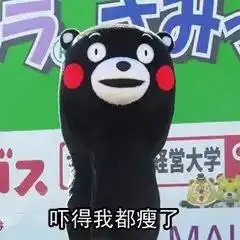  注意国内航线将不能用通行证护照坐飞机儿童也要验证才行