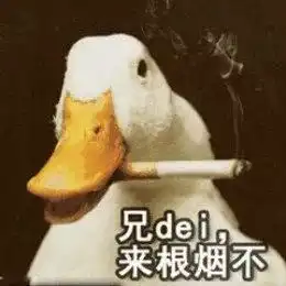  门前大桥下游过一群鸭,大家快来数一数,周末开心鸭