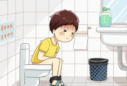  不管男女,建议在这个时间点排便,或对健康有利