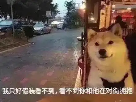  七夕搞笑表情包青蛙孤寡单身狗出租一套