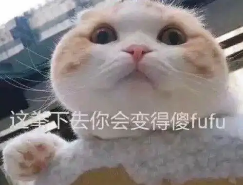 狗和猫的表情包沙雕