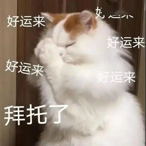  不乖,炖了你哦丨第135期喵表情